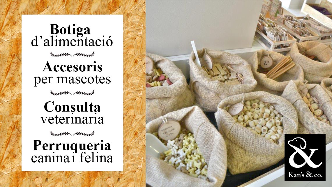 Proyecto Community Manager Kans & Co