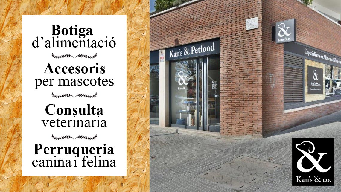 Gestión redes sociales Kans & Co